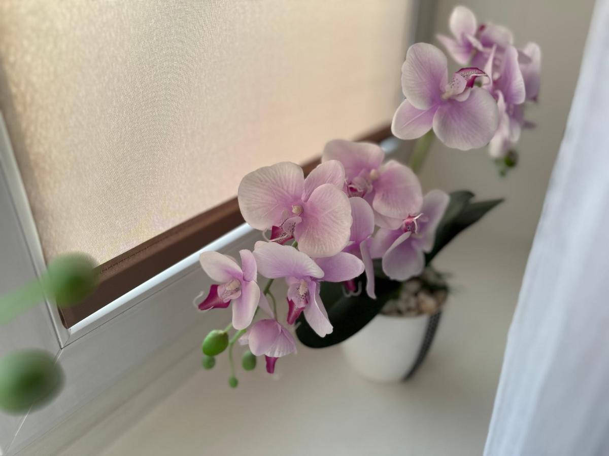 Apartament In - Wlokniarzy